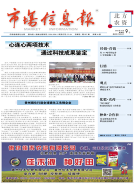 市场信息报 市场信息咨询的价值与实践指南