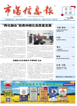 市场信息咨询的价值与实践路径