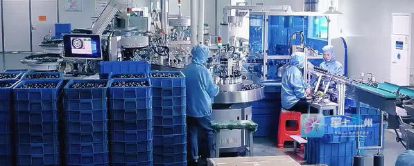 4家亳企登陆省“专精特新”专板 市场信息咨询助力梯度成长